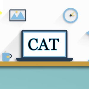CAT 2025 MockEngineering Mocks Program