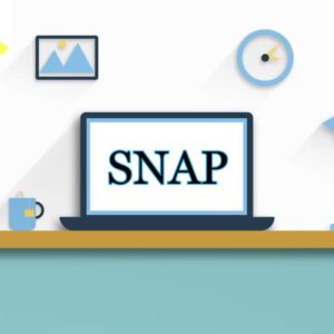 SNAPking Score maximiser mocks program